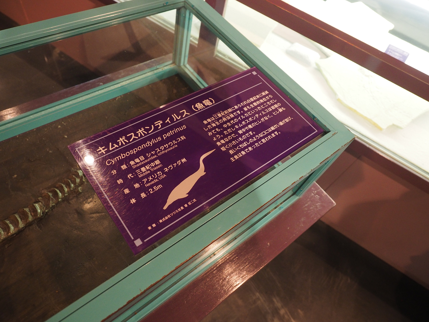 P8250111.jpg