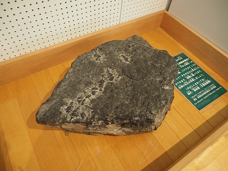 P8250136_thumb.png