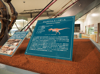 P8250154_thumb.png