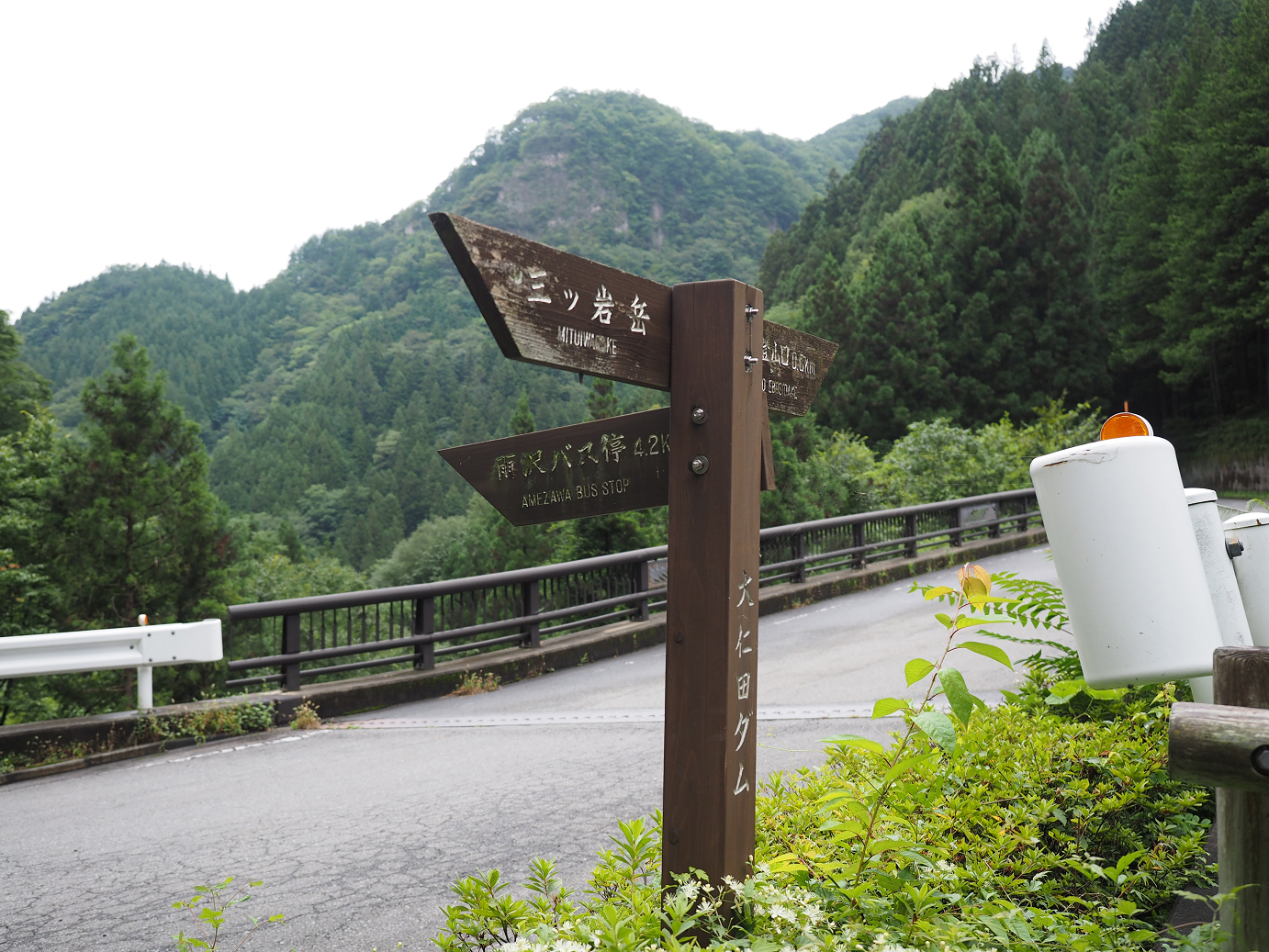 P8250186.jpg