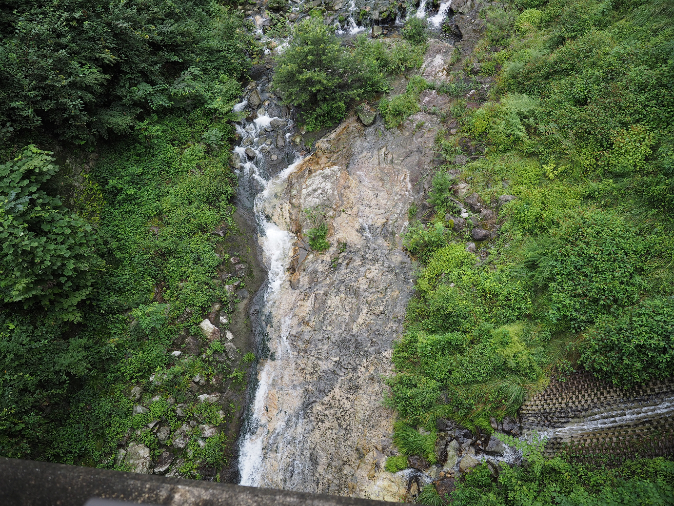 P8250190.jpg