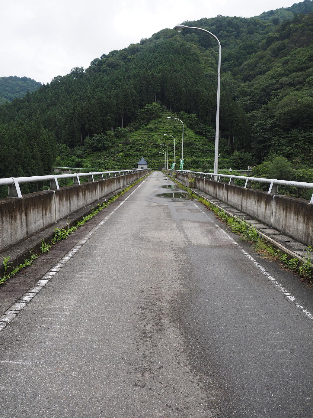 P8250222.jpg