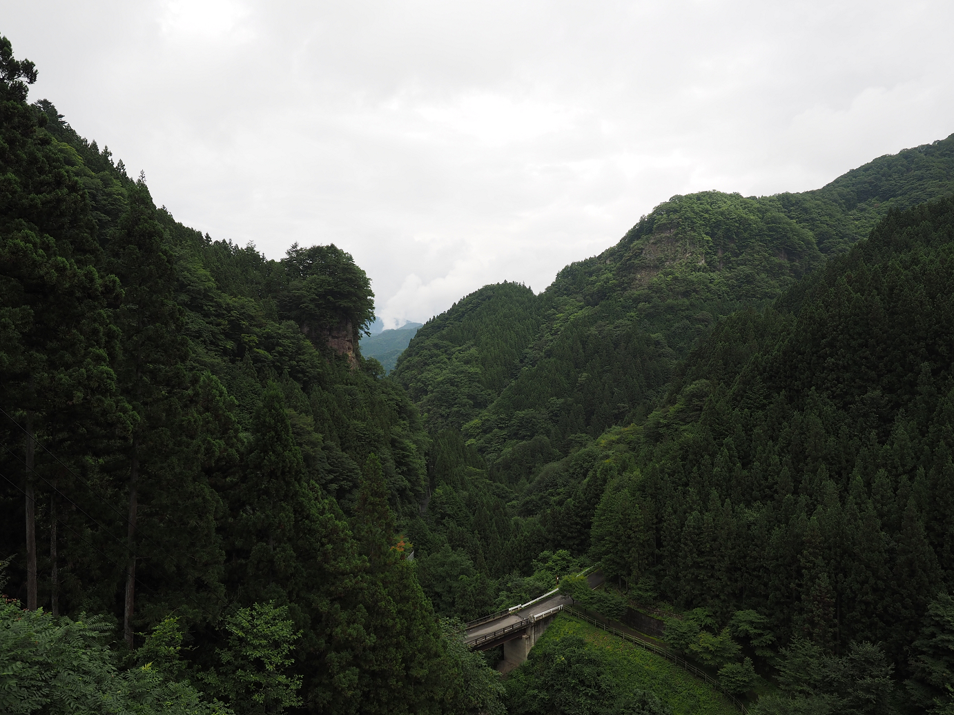 P8250224.jpg