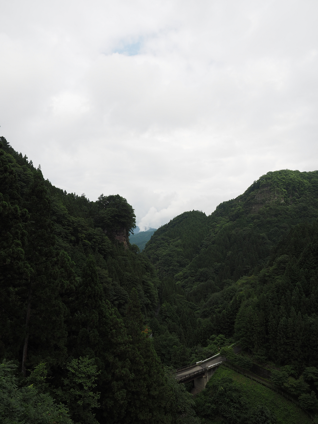 P8250225.jpg