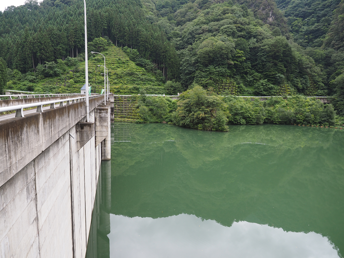 P8250230.jpg