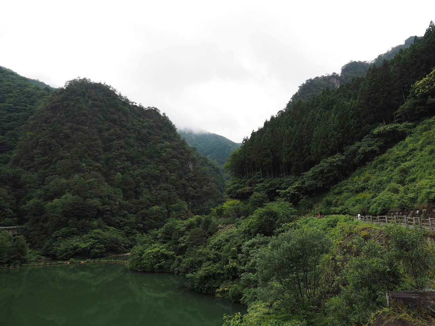 P8250231.jpg