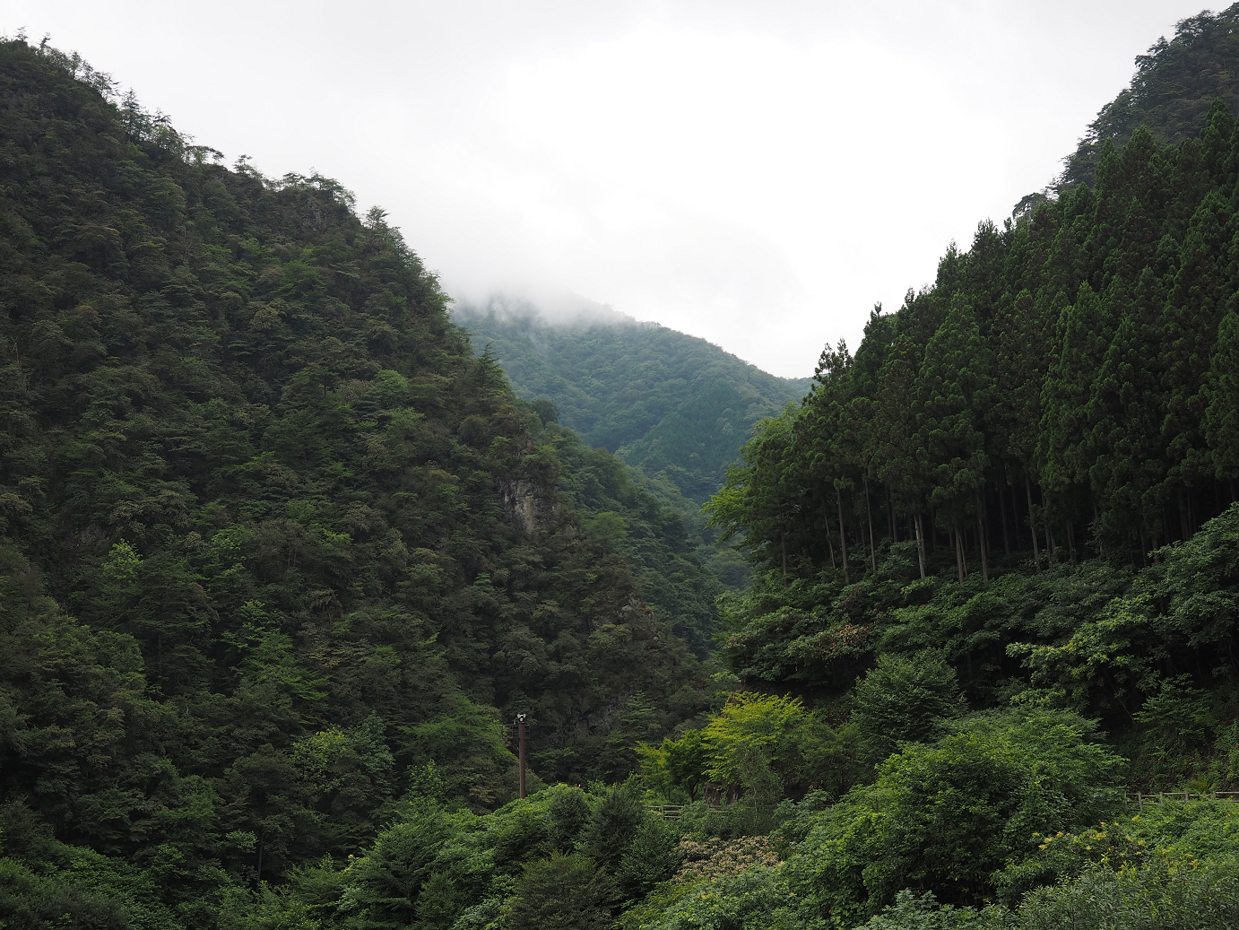 P8250232.jpg
