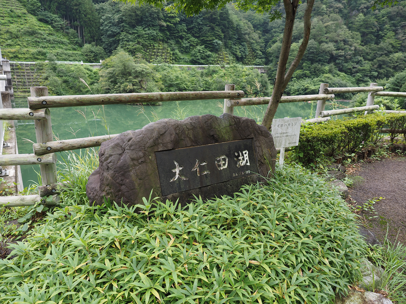 P8250235.jpg