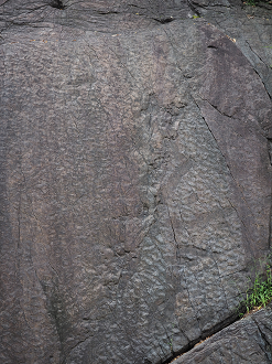 P8250244_thumb.png
