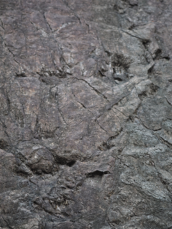 P8250246_thumb.png