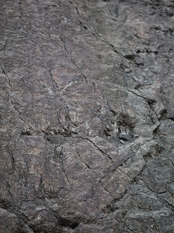 P8250247_thumb.png