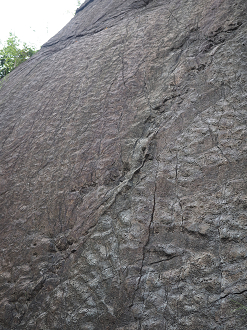 P8250249_thumb.png