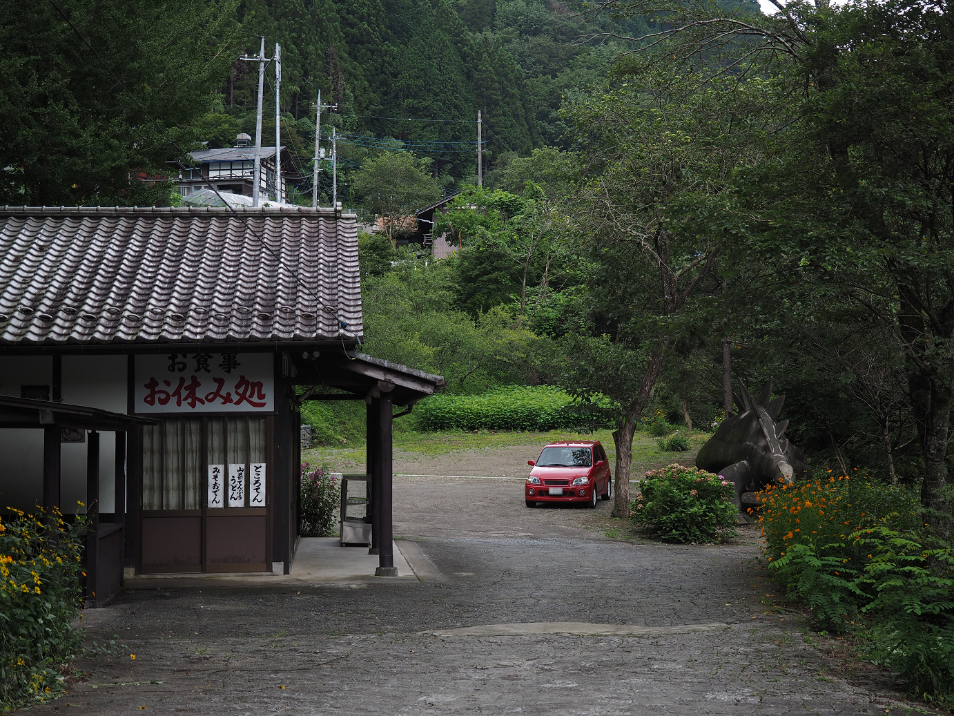 P8250253.jpg