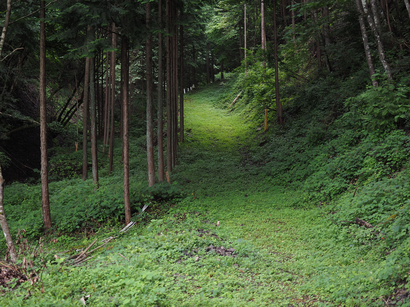 P8250305.jpg