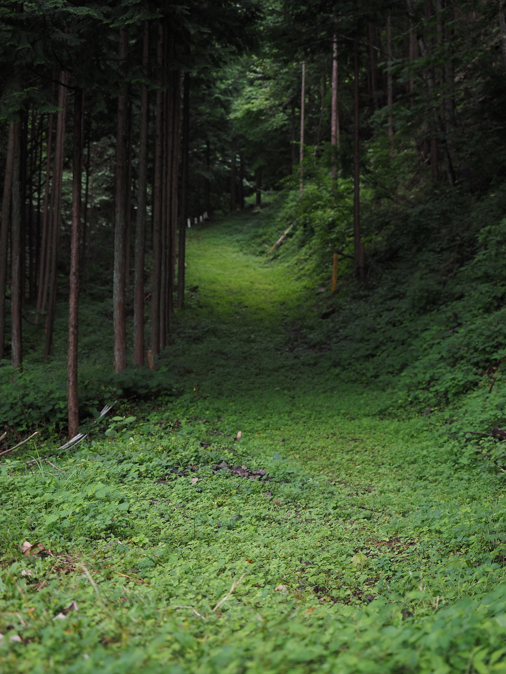 P8250309.jpg