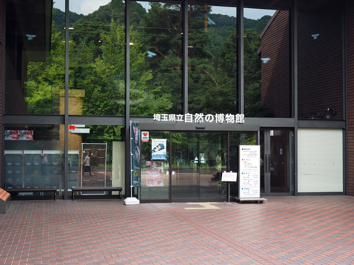 P8250318.jpg