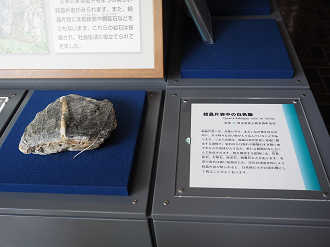 P8250341_thumb.png