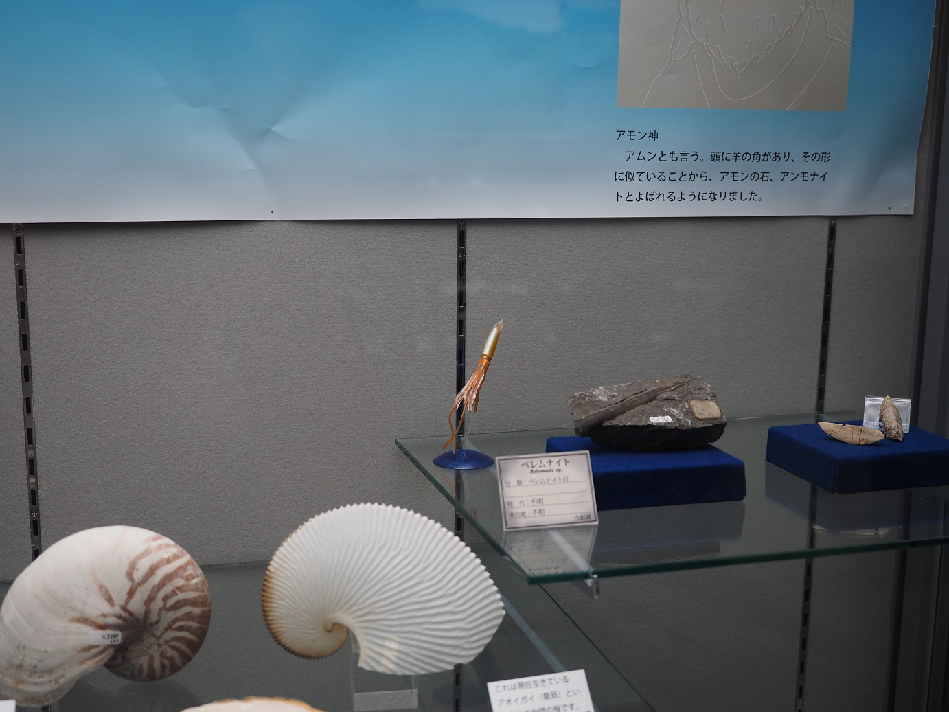 P8250373.jpg