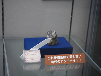 P8250376_thumb.png