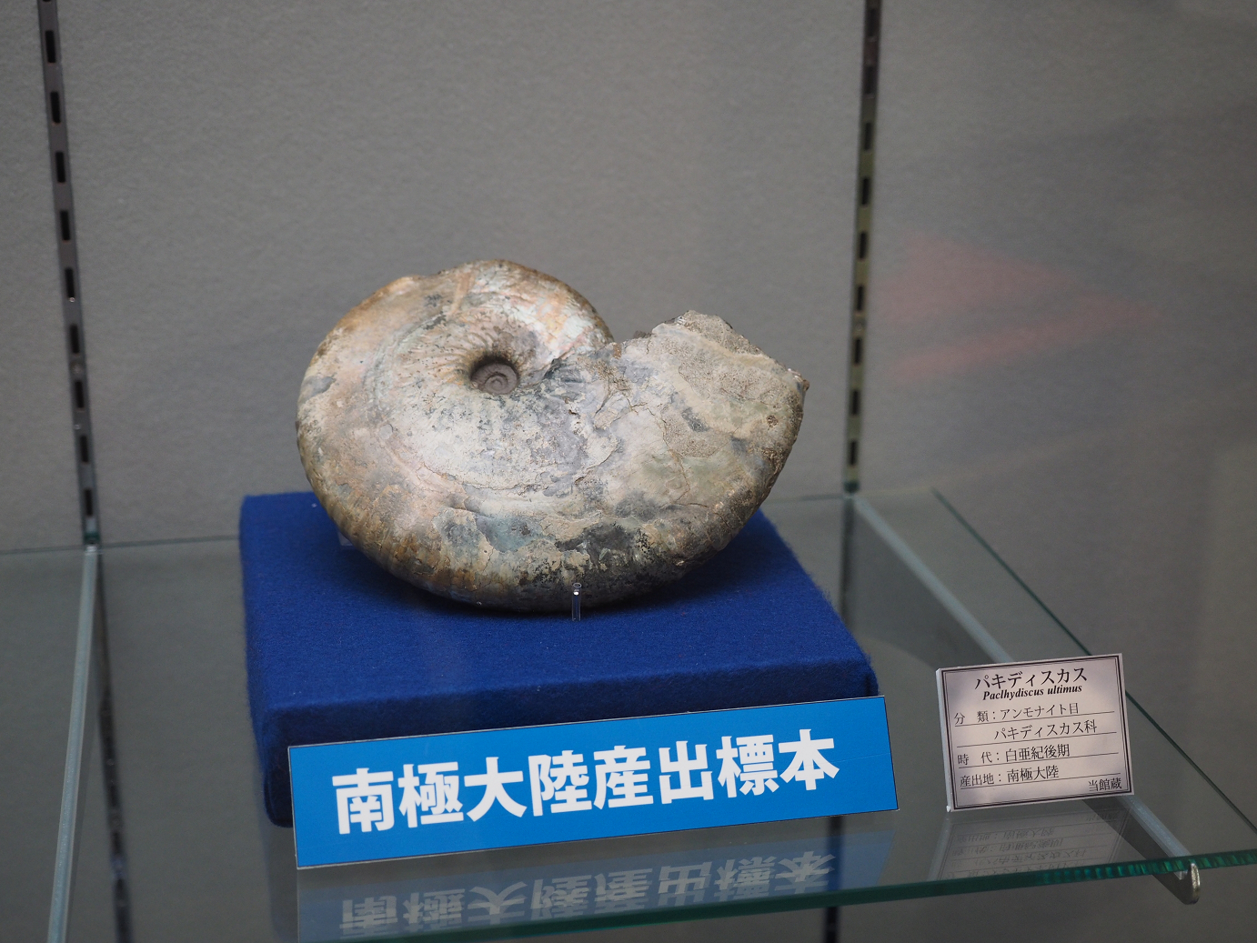 P8250377.jpg