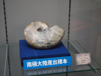P8250377_thumb.png