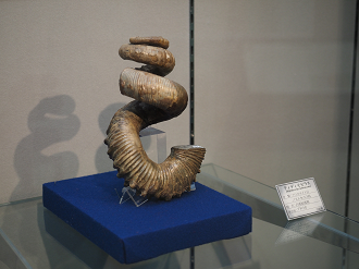 P8250379_thumb.png
