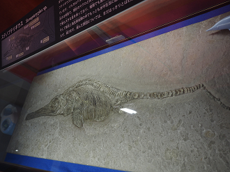 P8250390_thumb.png