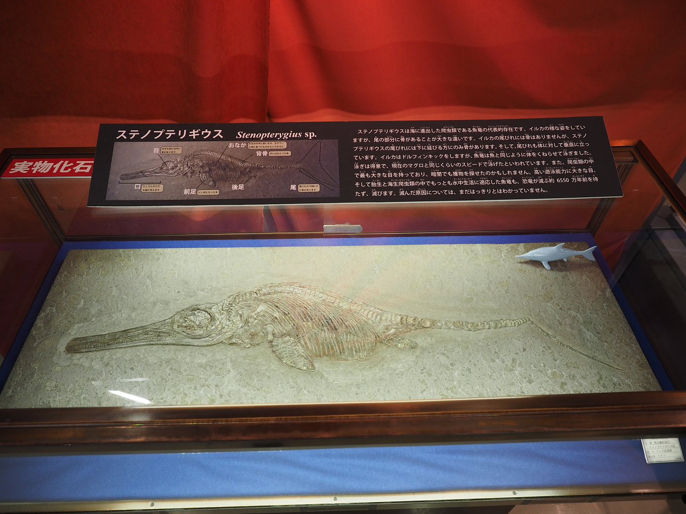 P8250394.jpg