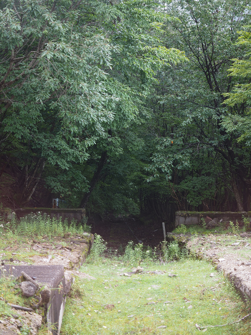 P8300049.jpg