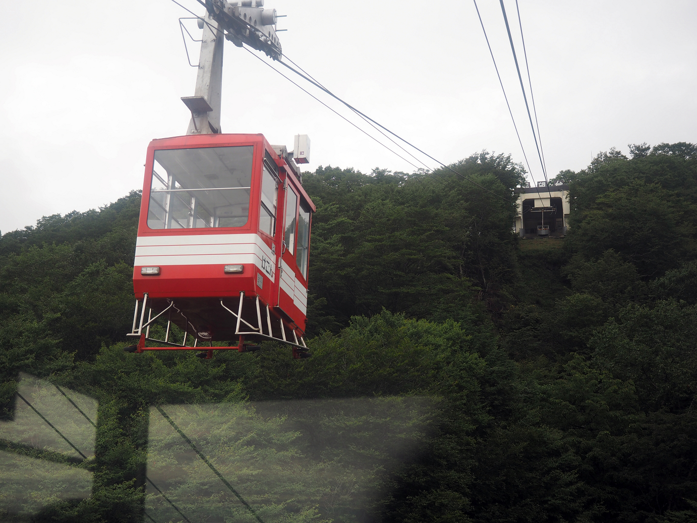 P8300059.jpg