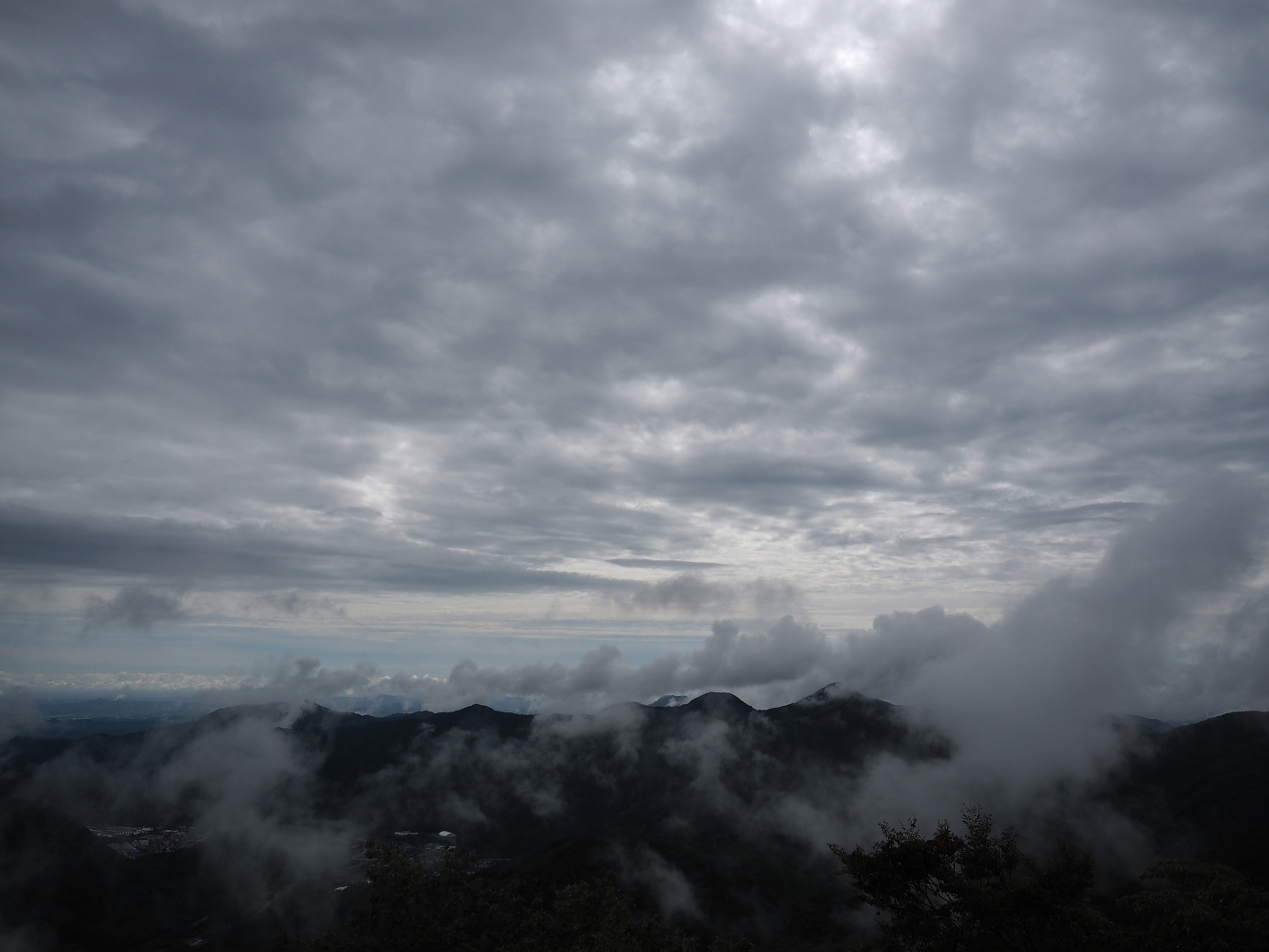 P8300080.jpg