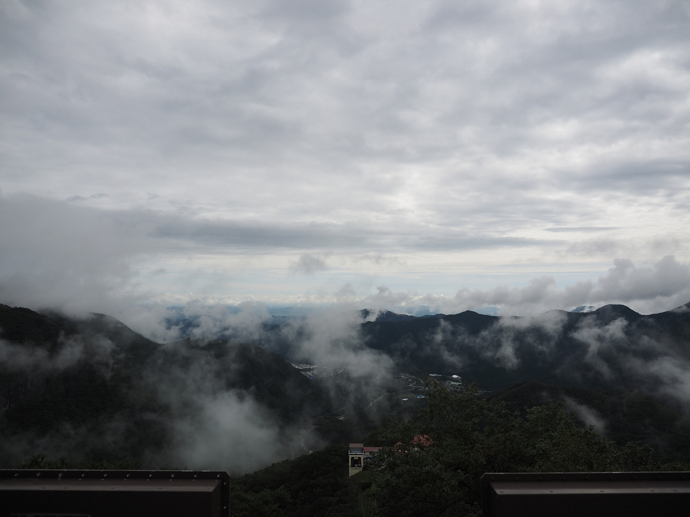 P8300081.jpg