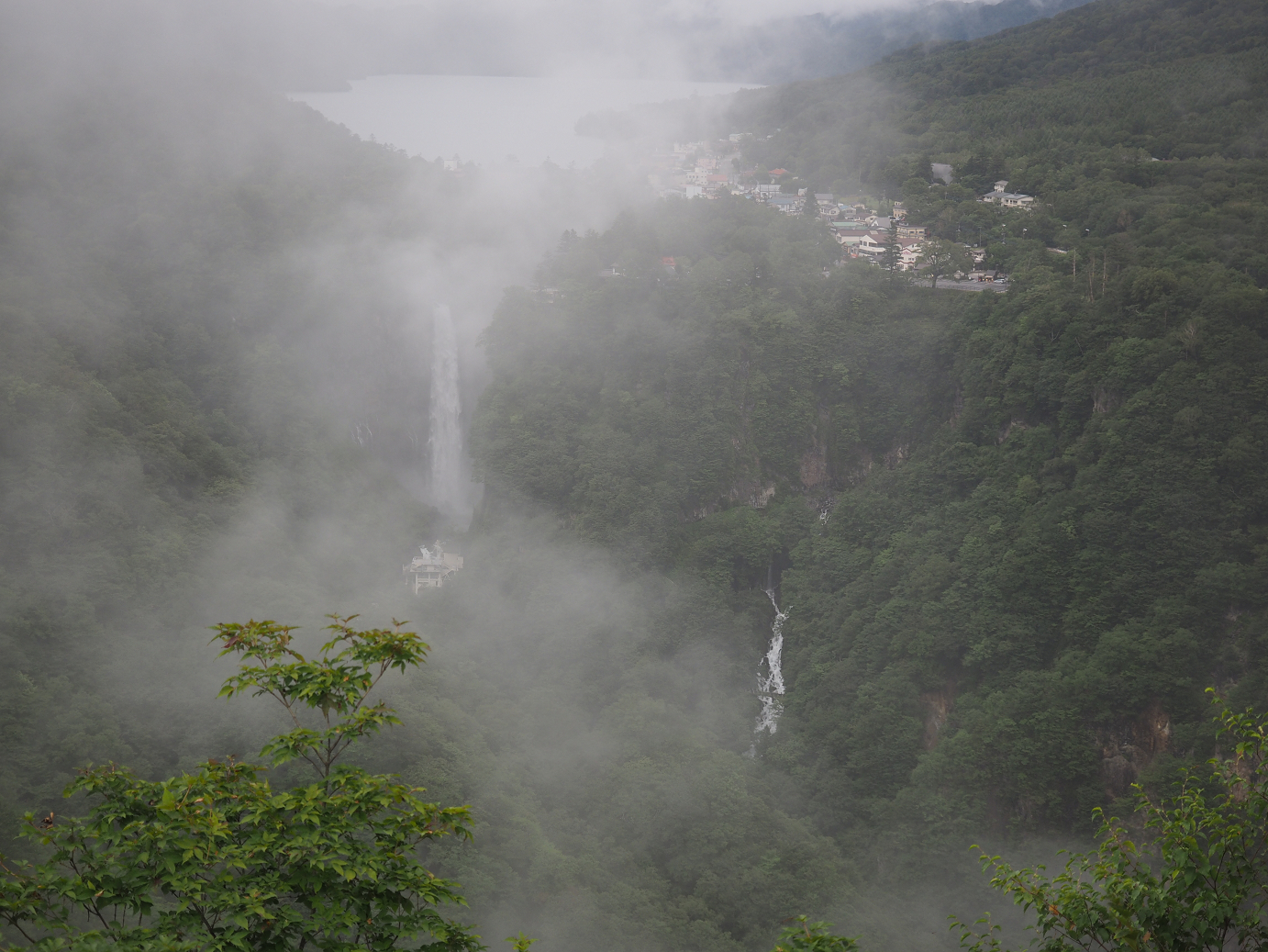 P8300094.jpg