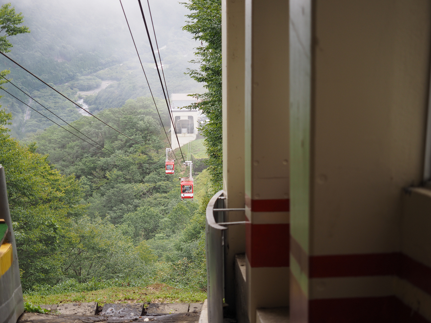 P8300142.jpg