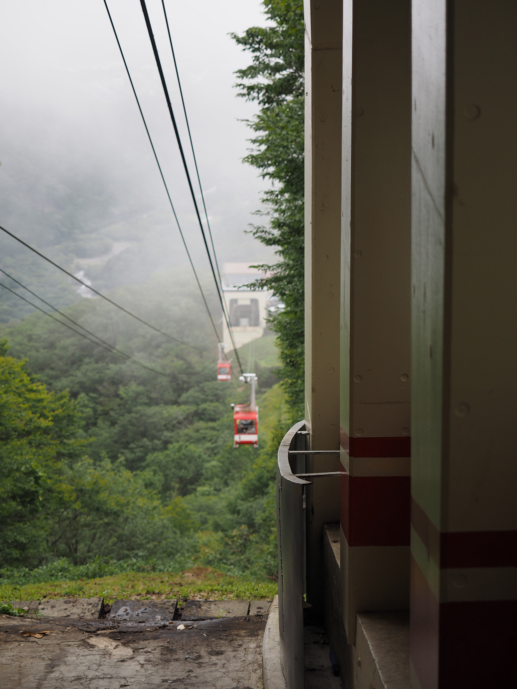 P8300144.jpg