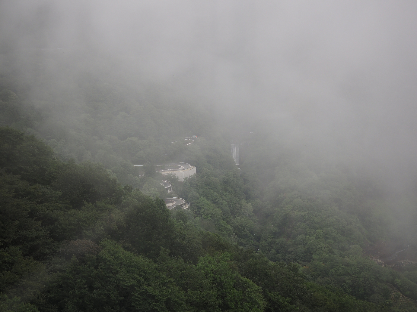 P8300150.jpg