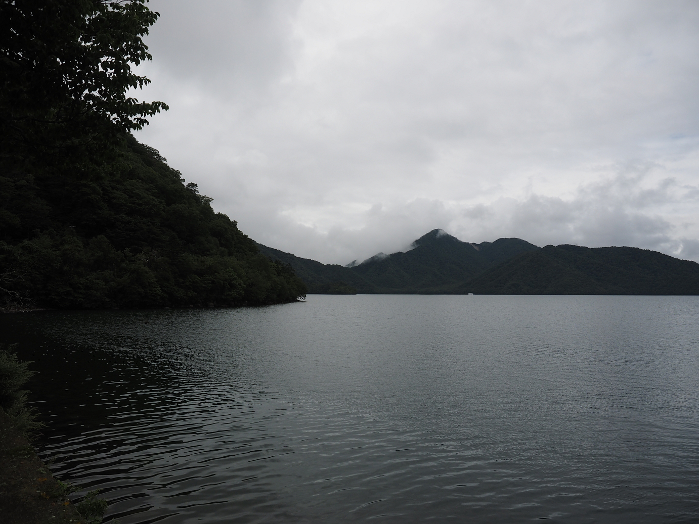 P8300157.jpg