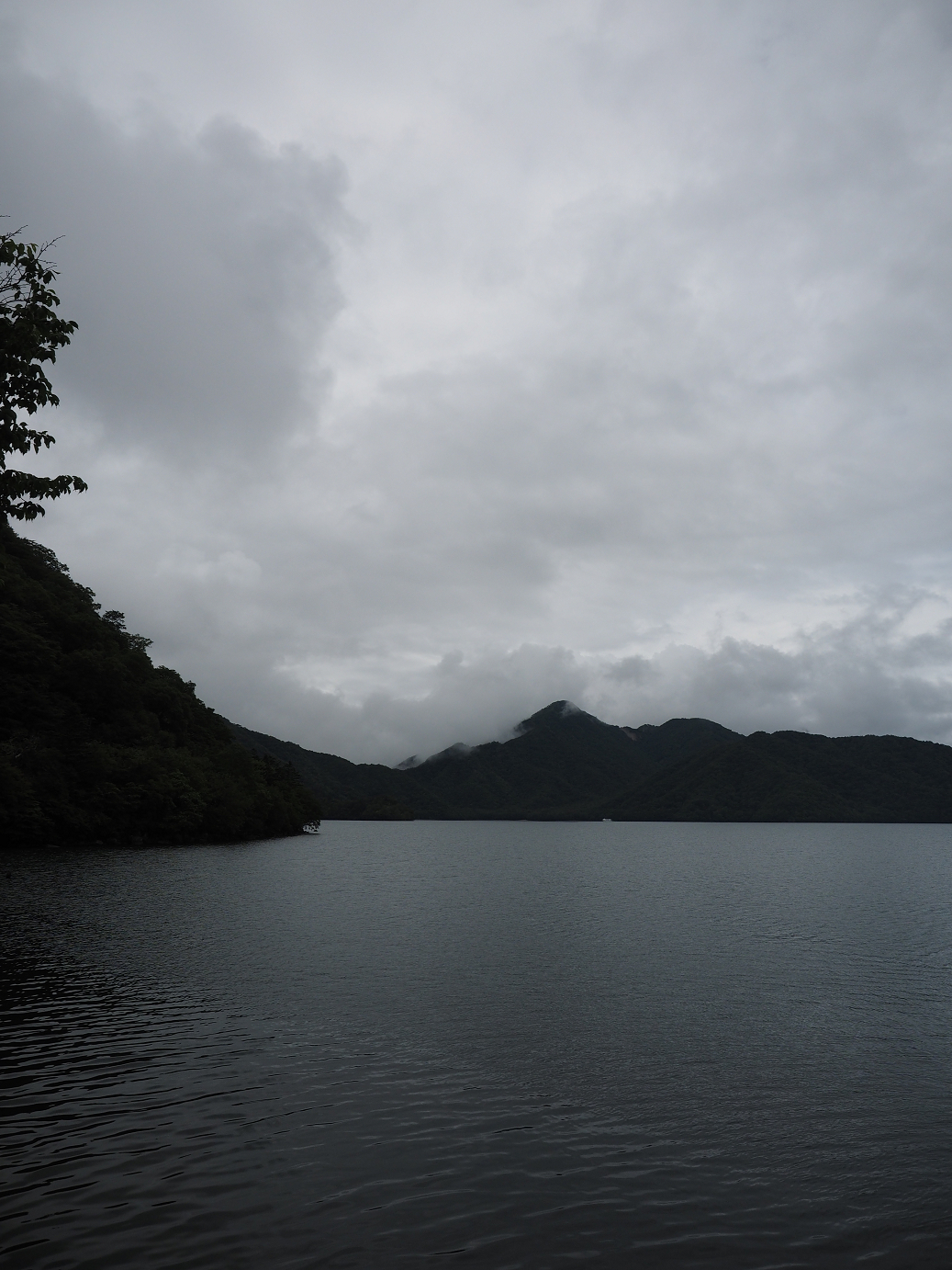 P8300158.jpg