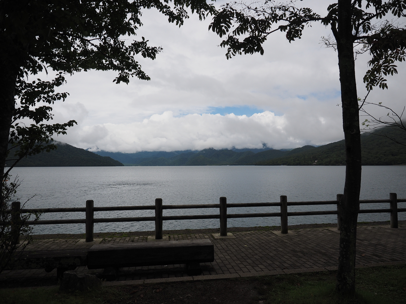 P8300210.jpg