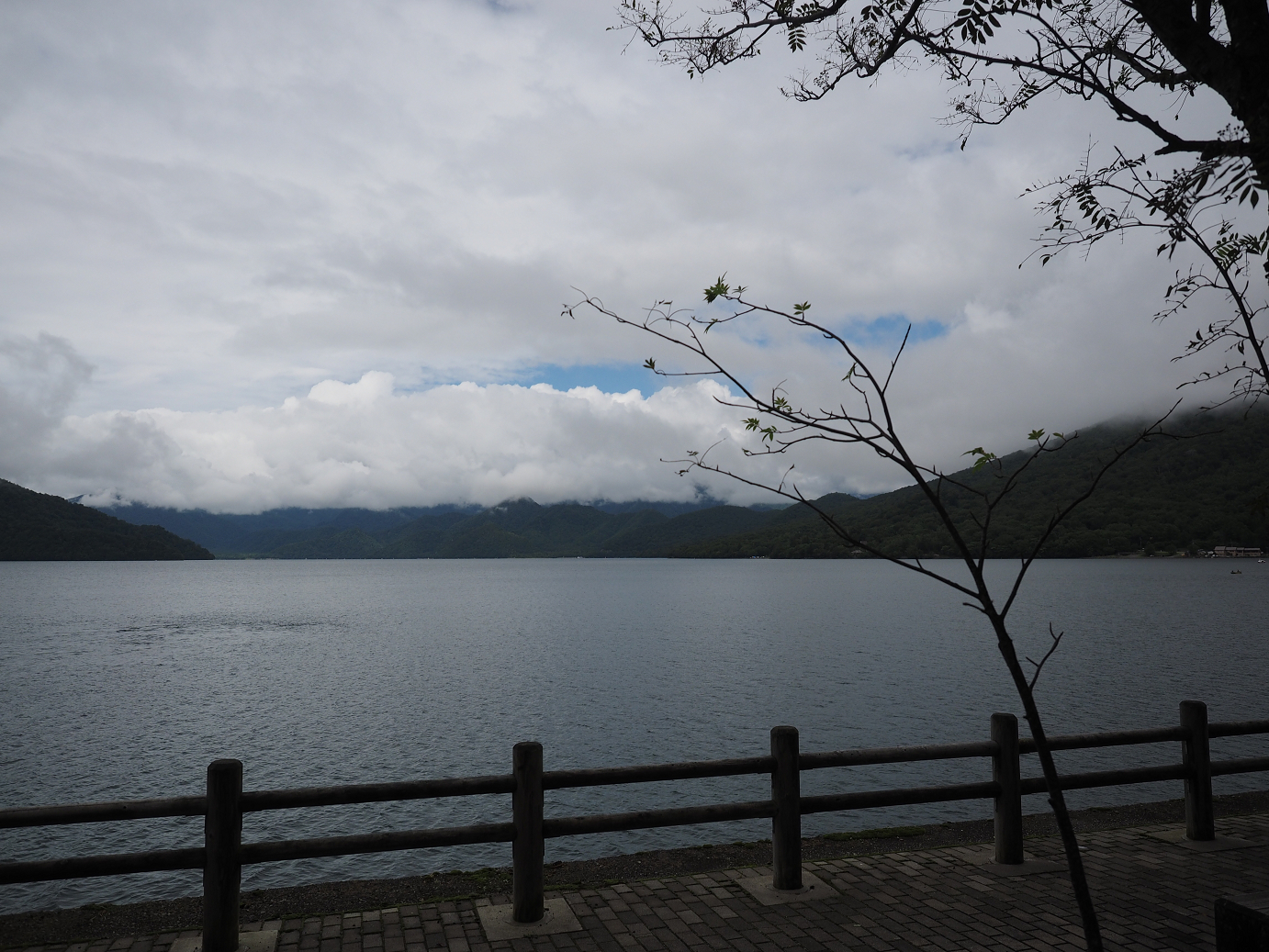P8300214.jpg
