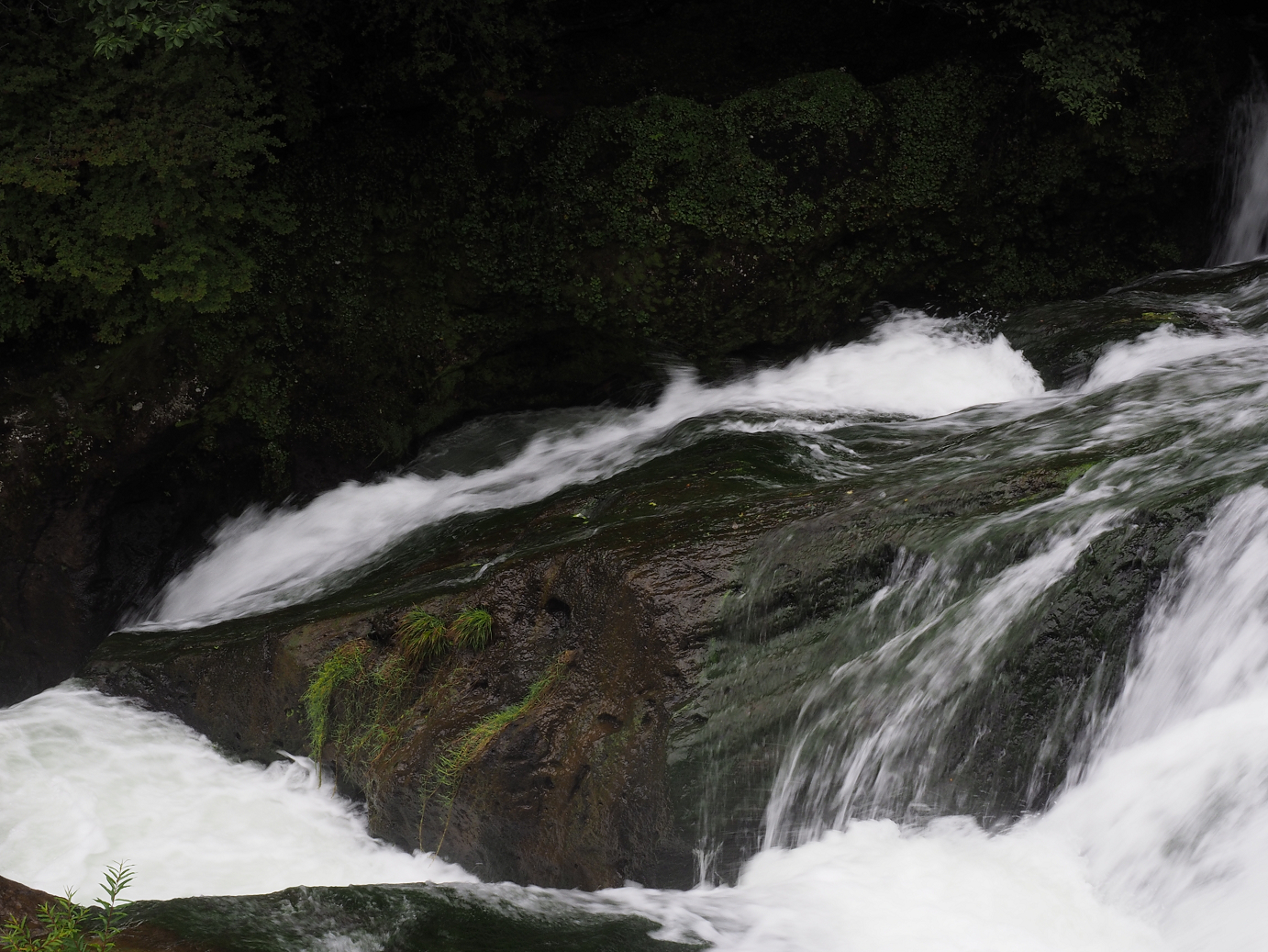 P8300254.jpg