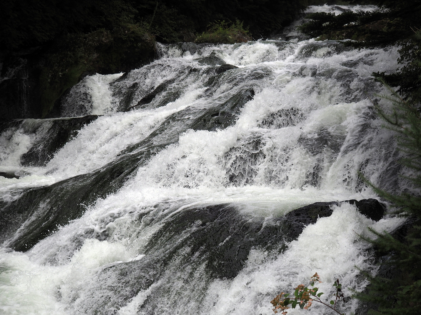 P8300266.jpg
