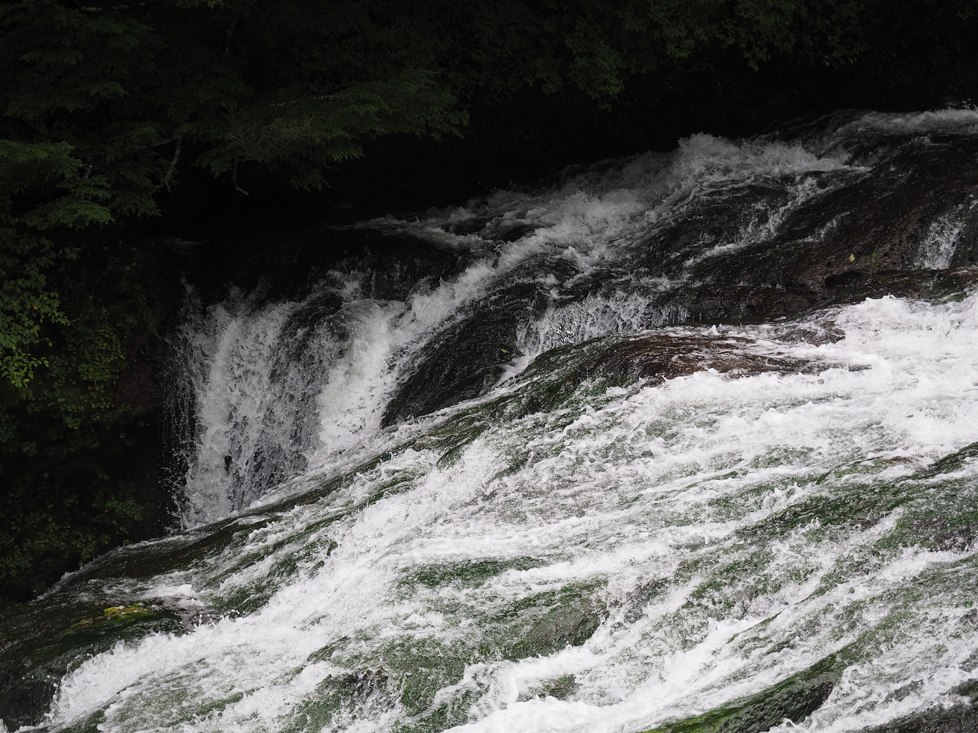 P8300271.jpg