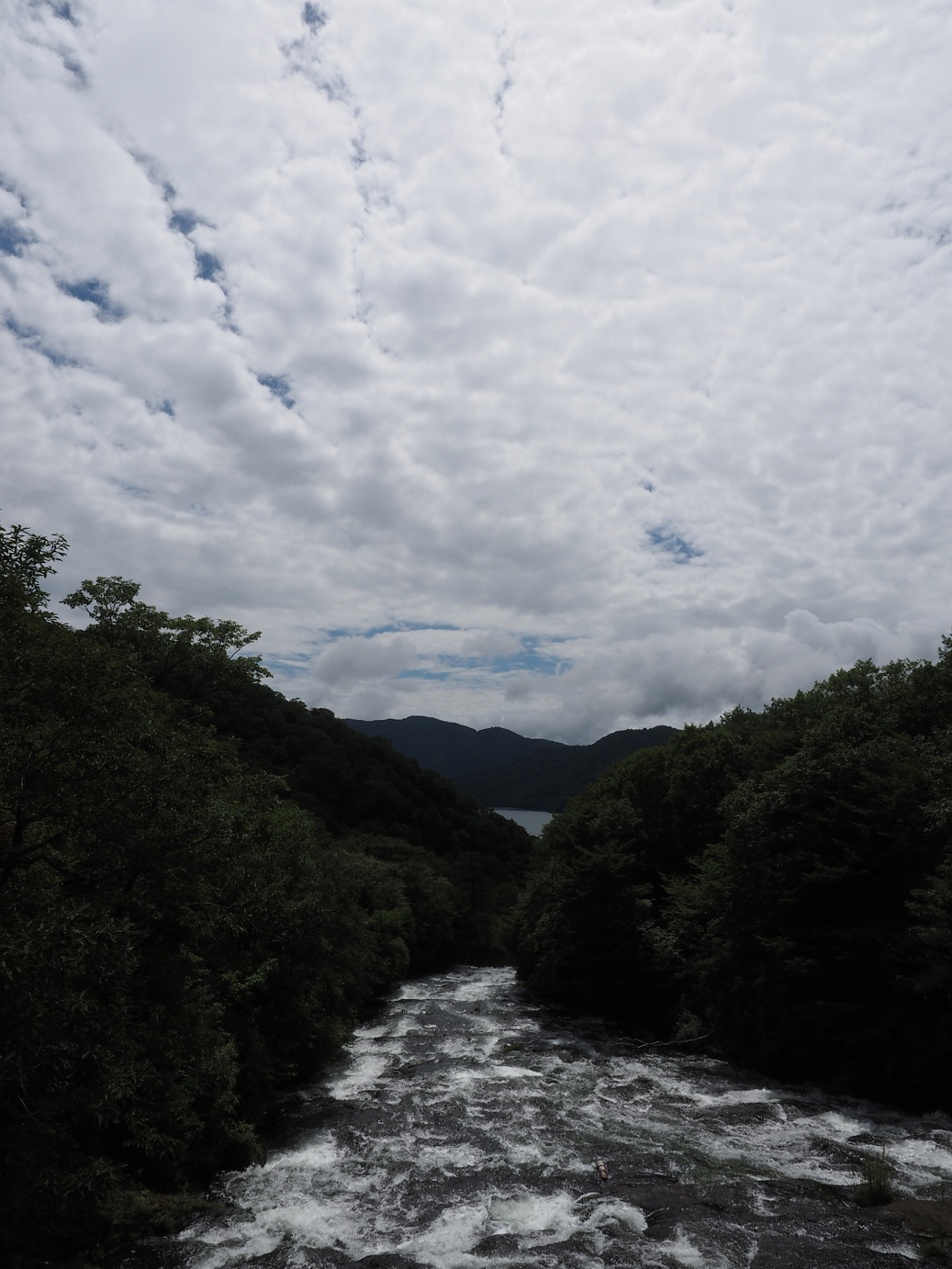 P8300341.jpg