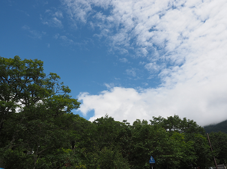 P8300353_thumb.png