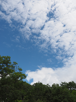 P8300354_thumb.png