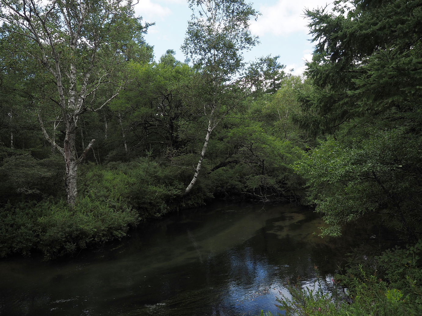 P8300411.jpg