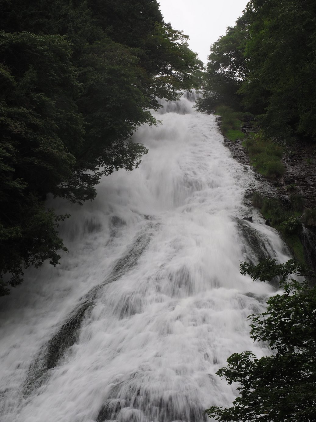 P8300571.jpg