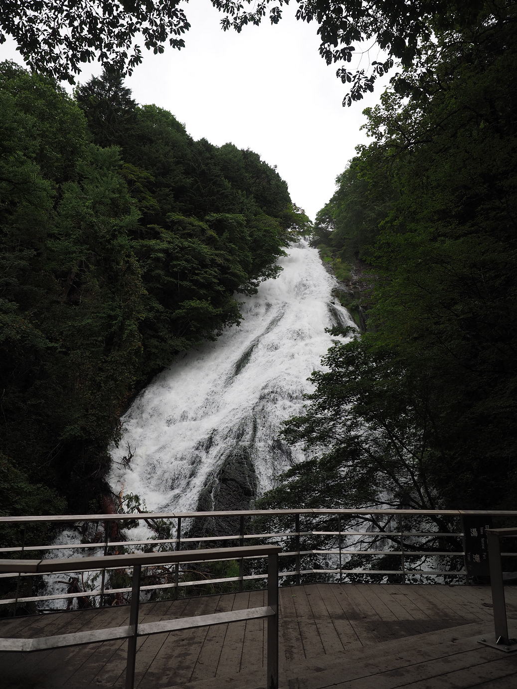 P8300577.jpg