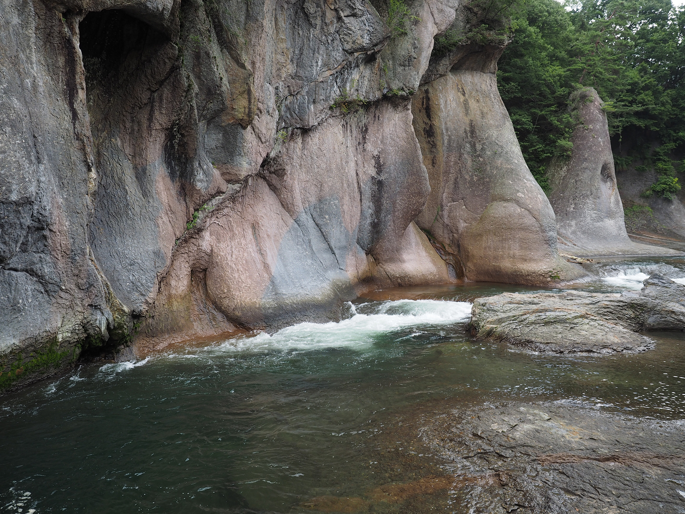 P8300644.jpg